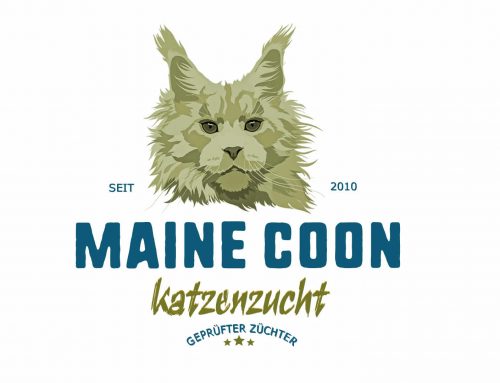 Gute Maine Coon Züchter finden